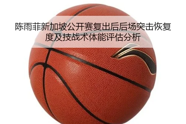 陈雨菲新加坡公开赛复出后后场突击恢复度及技战术体能评估分析